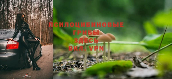 стаф Алексеевка