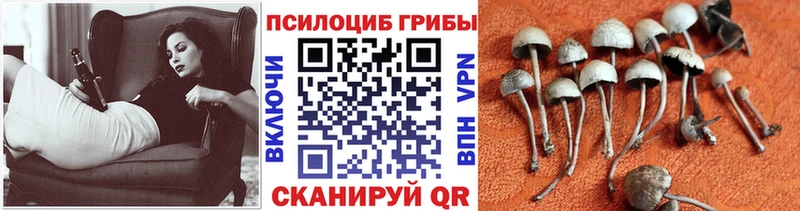 Галлюциногенные грибы Magic Shrooms  Байкальск 